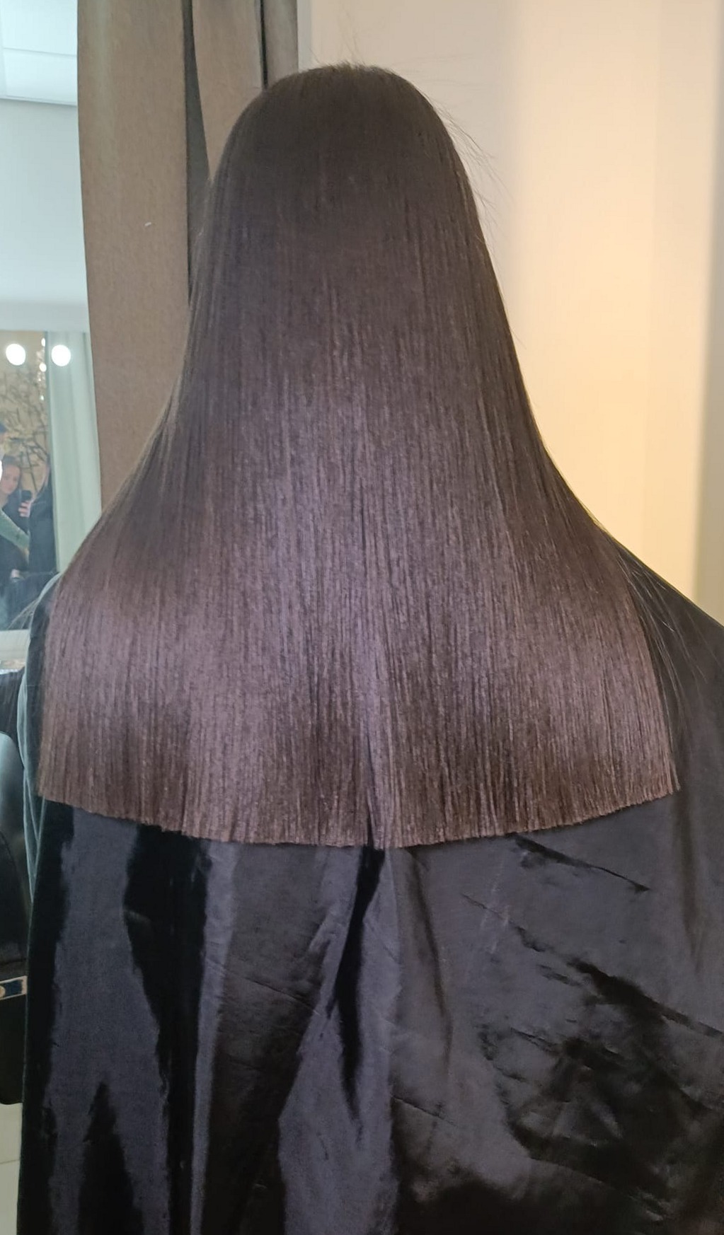 Lang steil donker haar van achteren